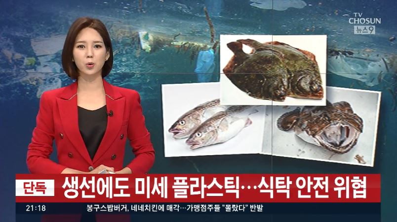 tv조선 미세플라스틱 해안오염.JPG