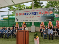 2019 여수 거북선기 족구대회