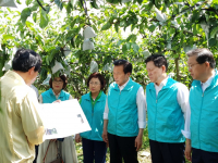 순천 낙안읍 태풍피해 농가 방문
