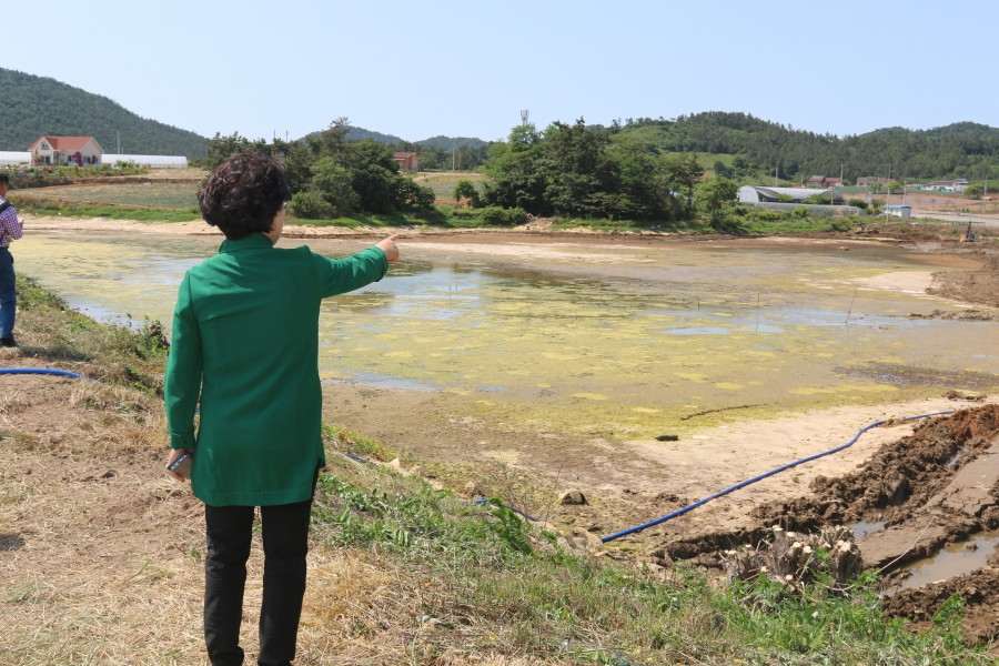 17.06.02_가뭄현장 (5).JPG