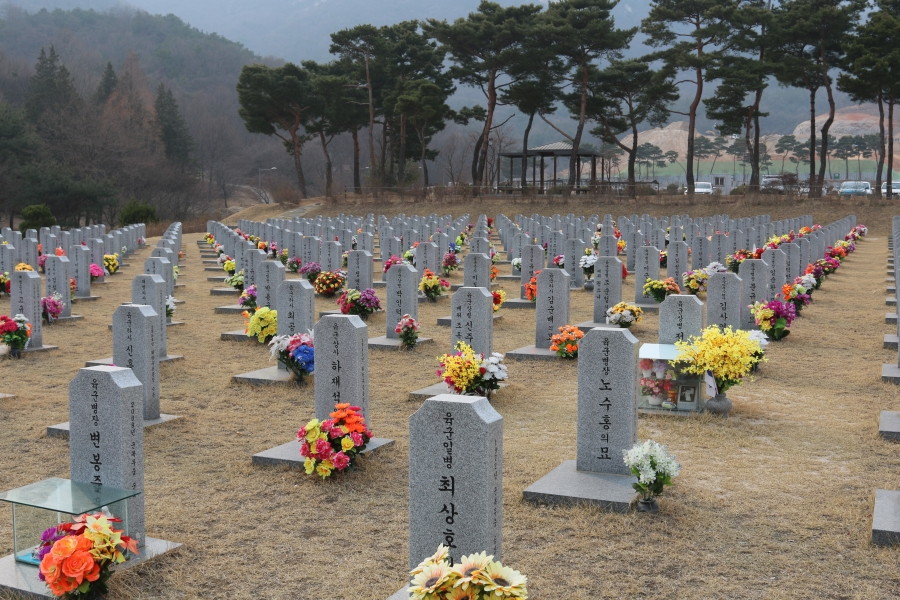 선별사진 (5).JPG